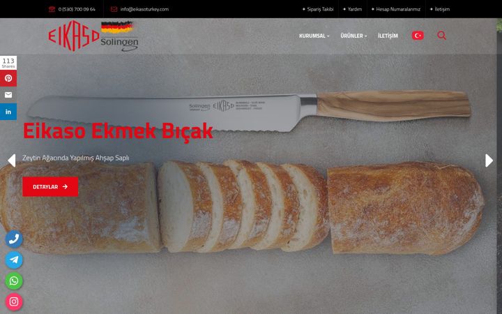 Screenshot of eikasoturkey.com