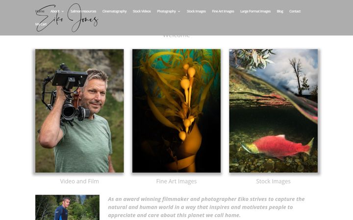 Screenshot of eikojones.com