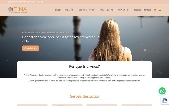 Screenshot of einapsicolegs.es