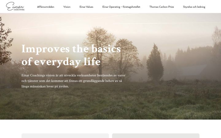 Screenshot of einarcoaching.com