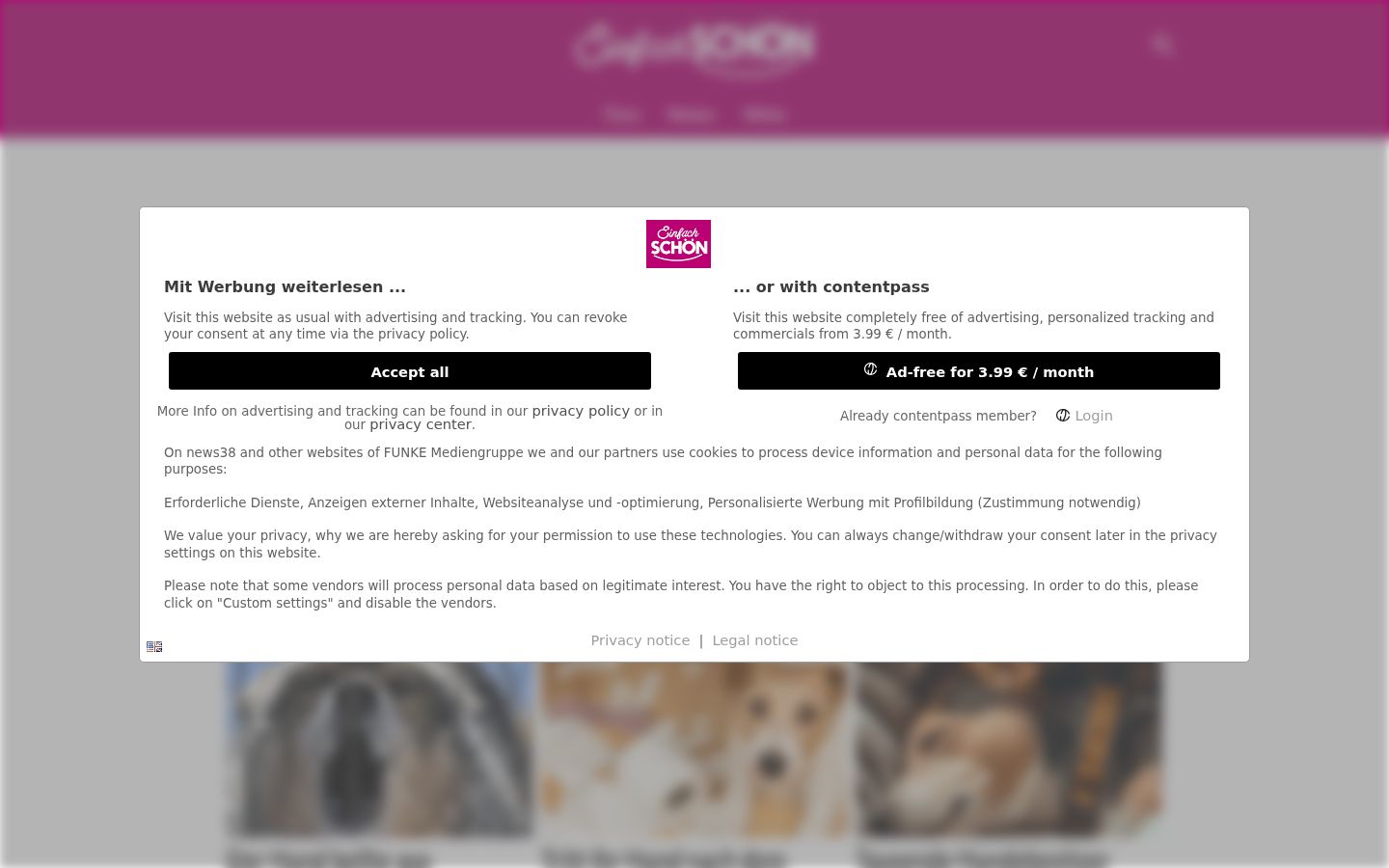 Screenshot of the consent banner shown before any interaction