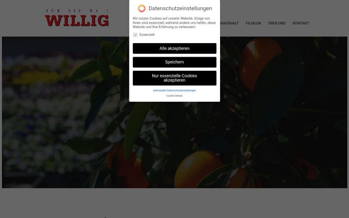 Screenshot of einkaufsstaette-willig.de