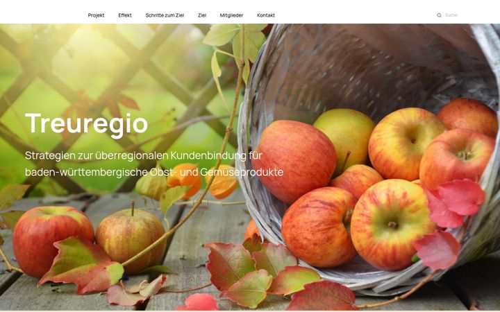 Screenshot of eip-treuregio.de