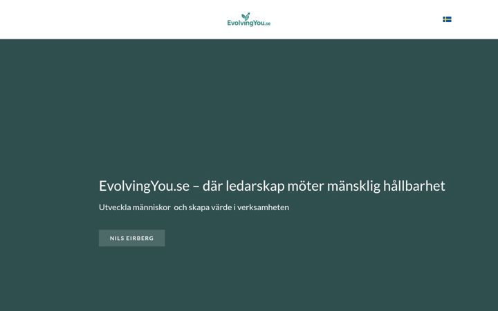 Zrzut ekranu eirberget.se