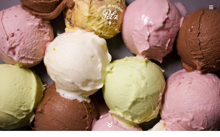Snimka zaslona za eis-pelz.de