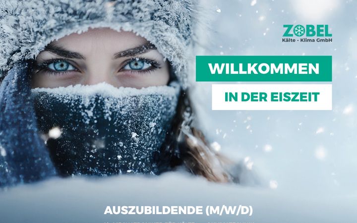 Screenshot van eiszeithelden.de