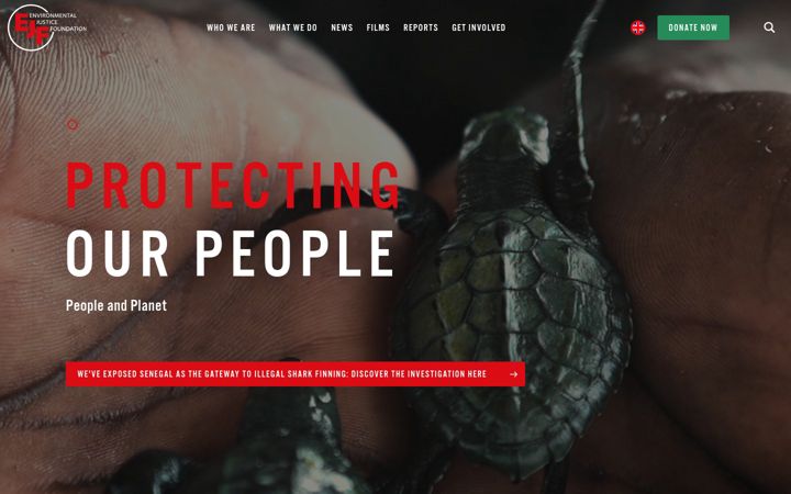 Screenshot of ejfoundation.org