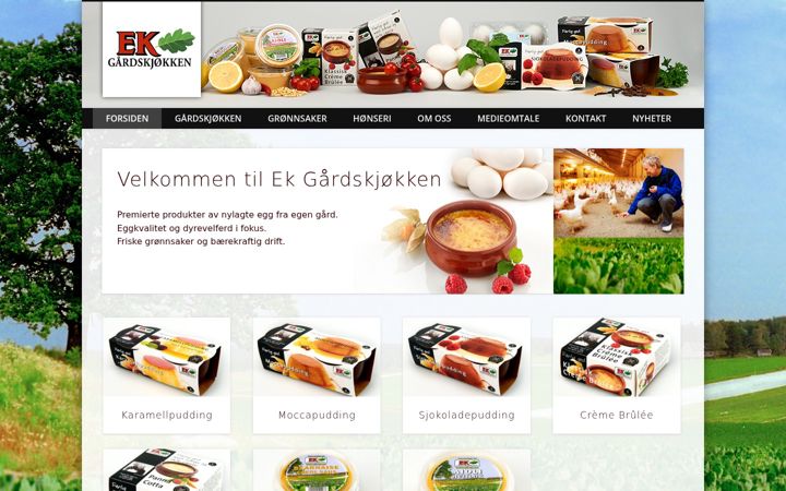 Screenshot of ek-as.no