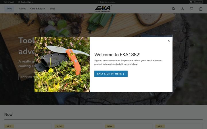 Screenshot of eka1882.com