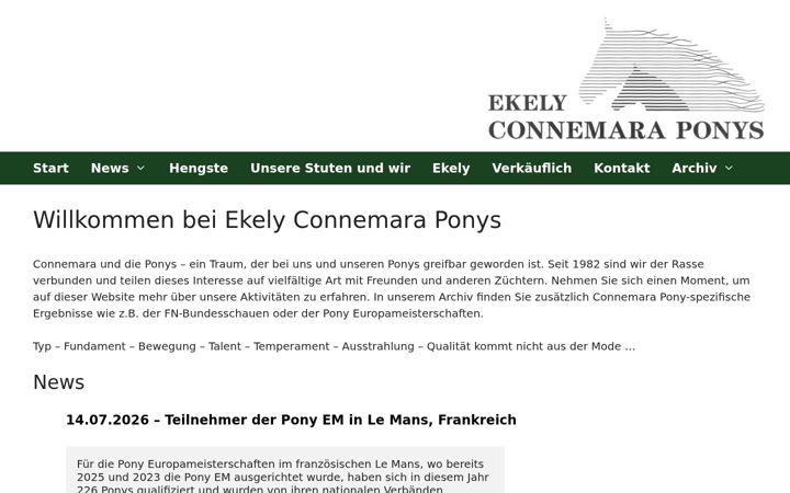 Screenshot of ekely.de