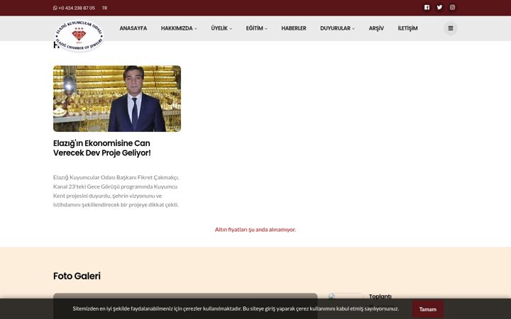 Screenshot of ekeo.org.tr