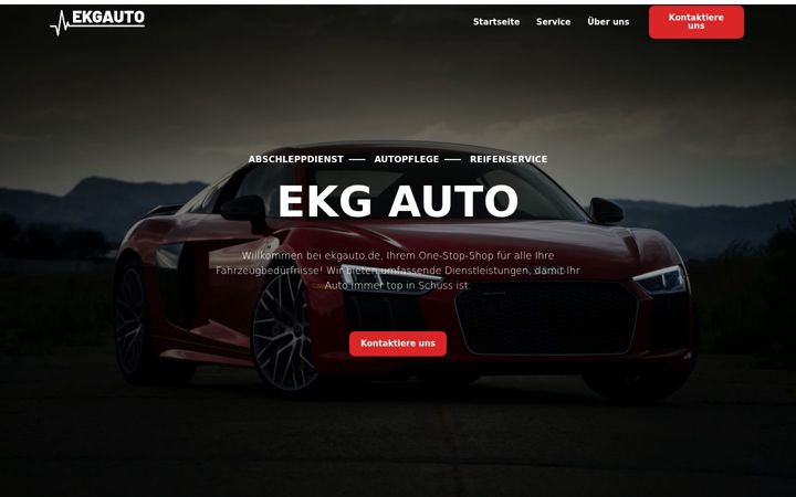 Skjámynd af ekgauto.de
