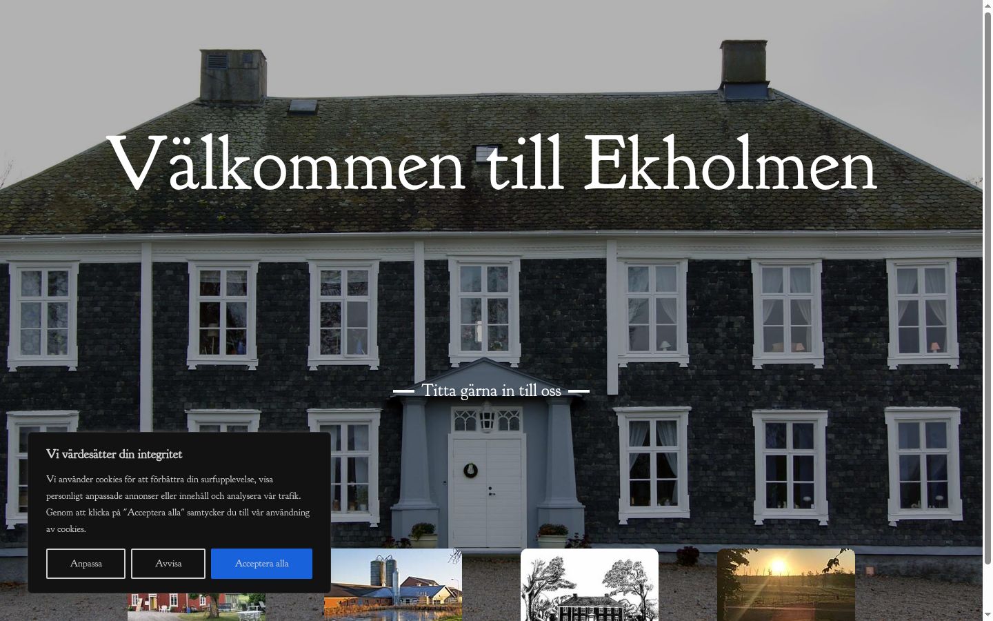 Skærmbillede af samtykkebanneret, som det blev vist før nogen interaktion