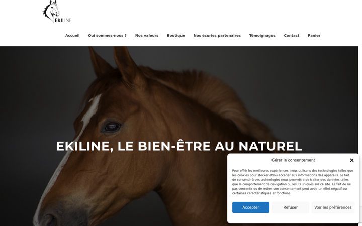 Screenshot of ekiline.fr