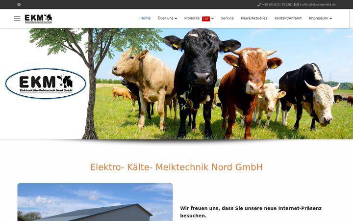 Screenshot of ekm-reinfeld.de