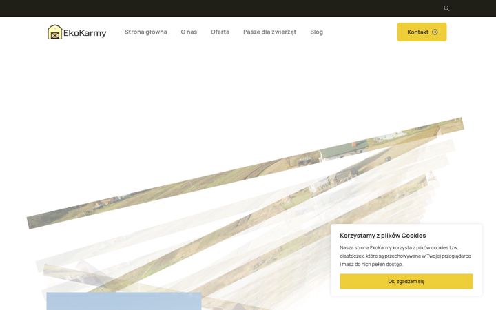 Screenshot ta' eko-karmy.pl