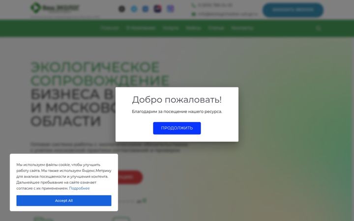 Snimka zaslona za ekologicheskie-uslugi.ru