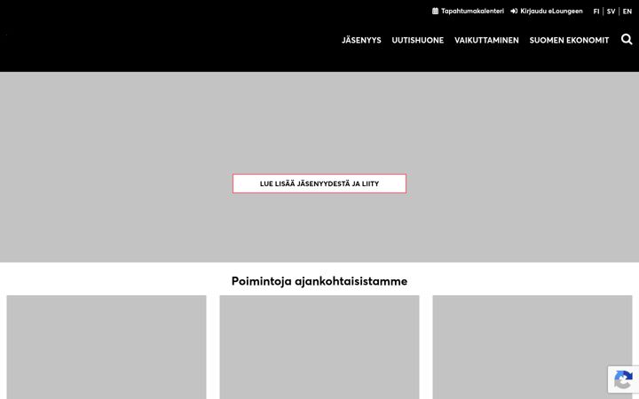 Screenshot of ekonomit.fi