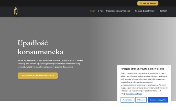 Screenshot ta' ekspertupadlosci.pl