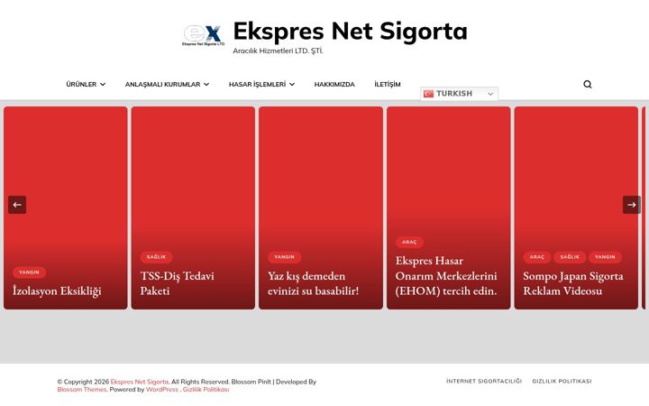 Screenshot of ekspresnet.com