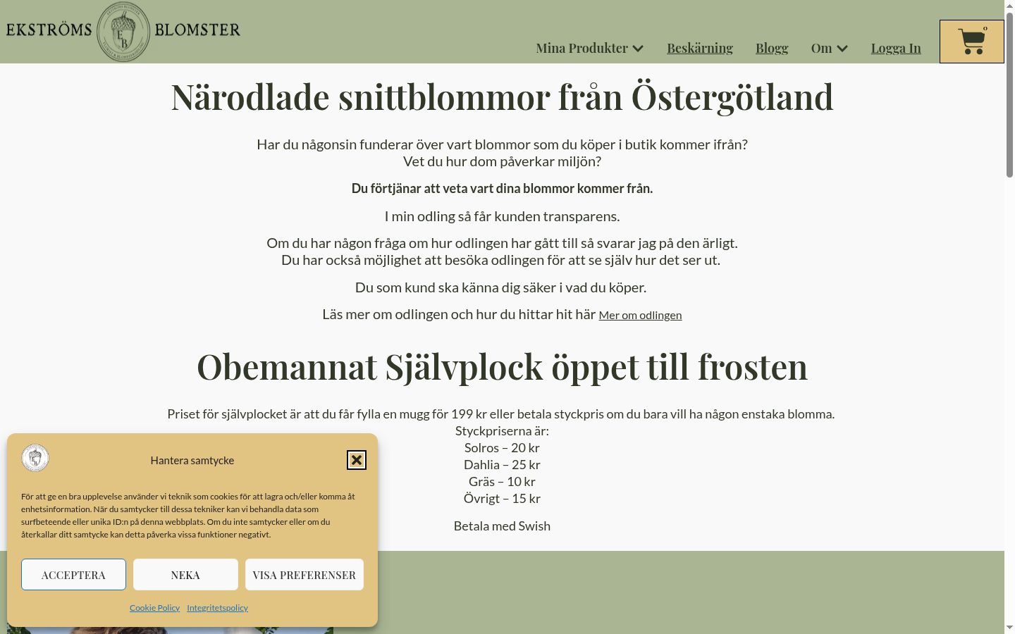Skjermbilde av samtykkebanneret slik det vises før noen interaksjon