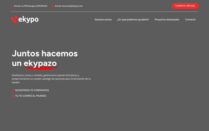 Screenshot of ekypo.com