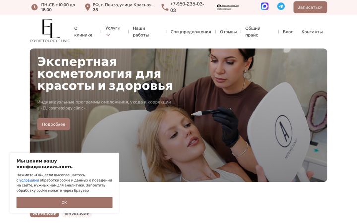 Snimka zaslona za el-clinic58.ru