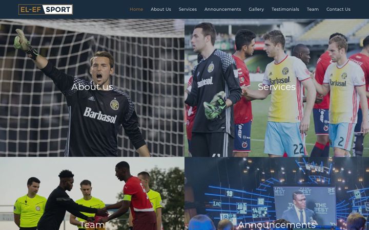Screenshot of el-efsport.agency
