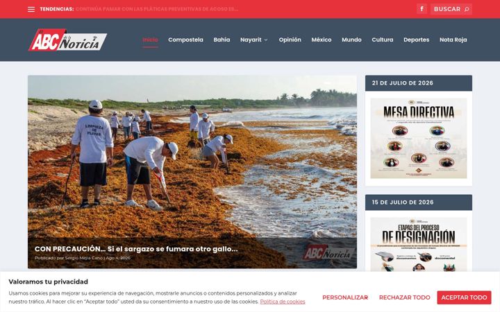 Screenshot of elabcdelanoticia.com