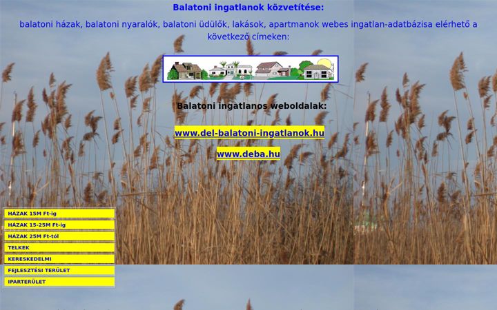 Screenshot of elado-balatoni-ingatlanok.com