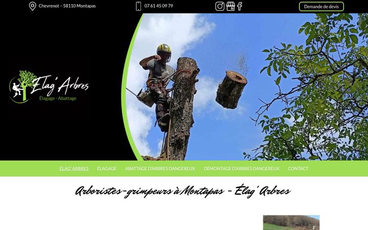 Screenshot stránky elag-arbres.fr