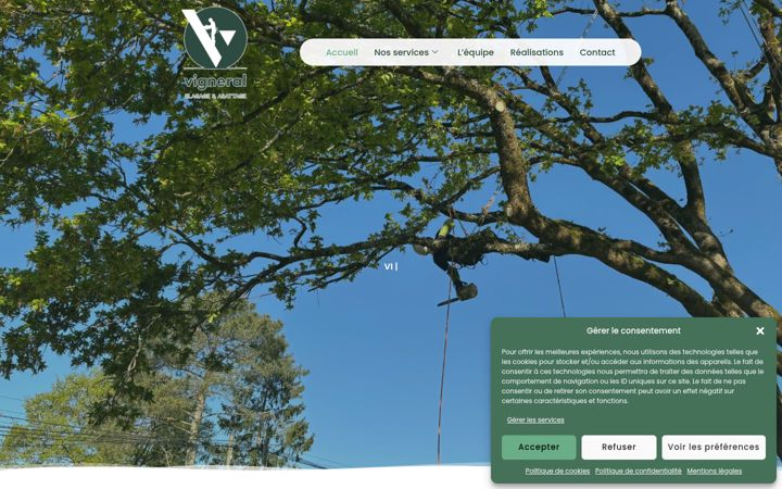 Screenshot ta' elagage-abattage-nantes.fr