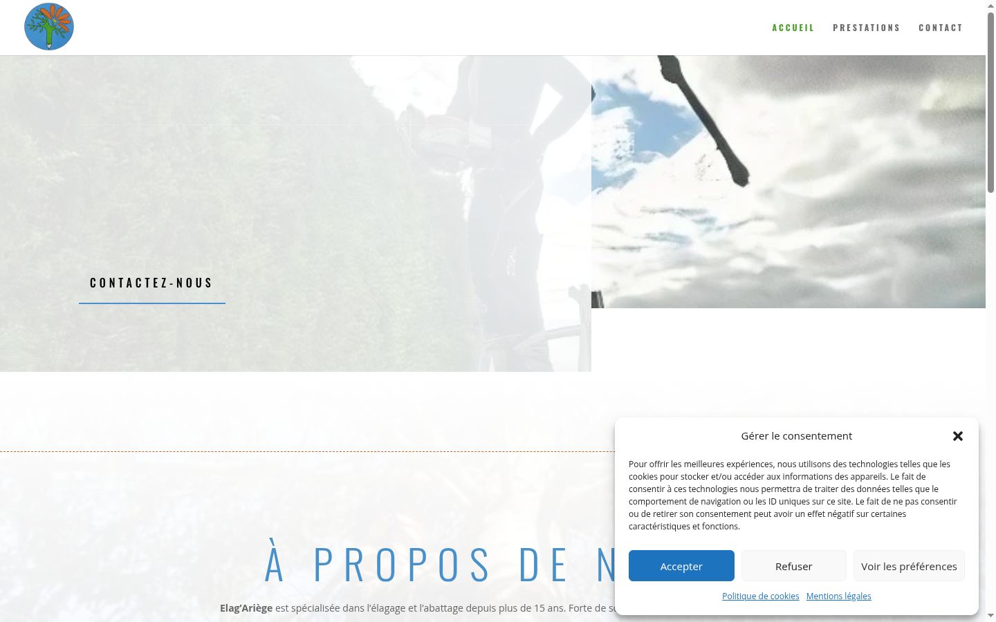 Screenshot of the consent banner shown before any interaction