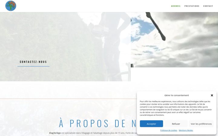 Screenshot ta' elagage-abattage-stgirons.fr