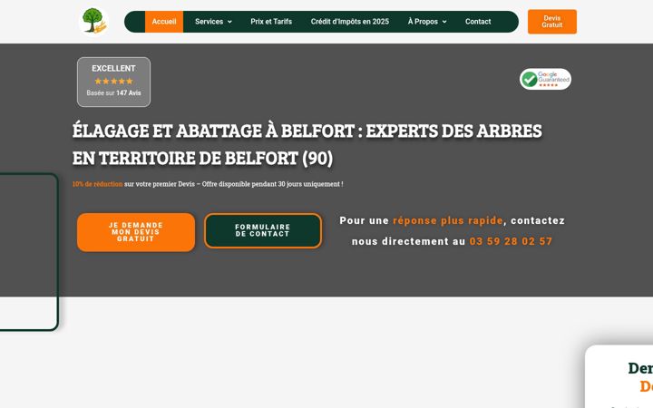 Screenshot ta' elagage-belfort.fr