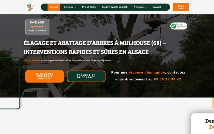 Екранна снимка на elagage-mulhouse.fr