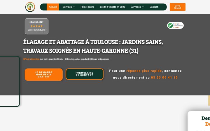 Képernyőkép: elagage-toulouse31.fr
