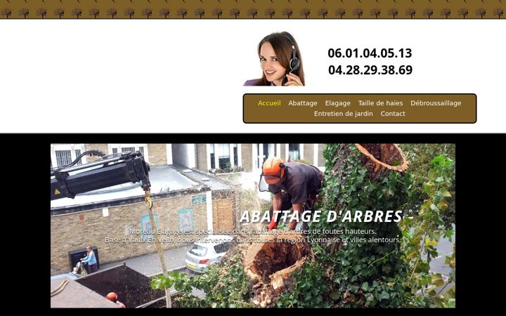 Screenshot di elagueur-69.fr