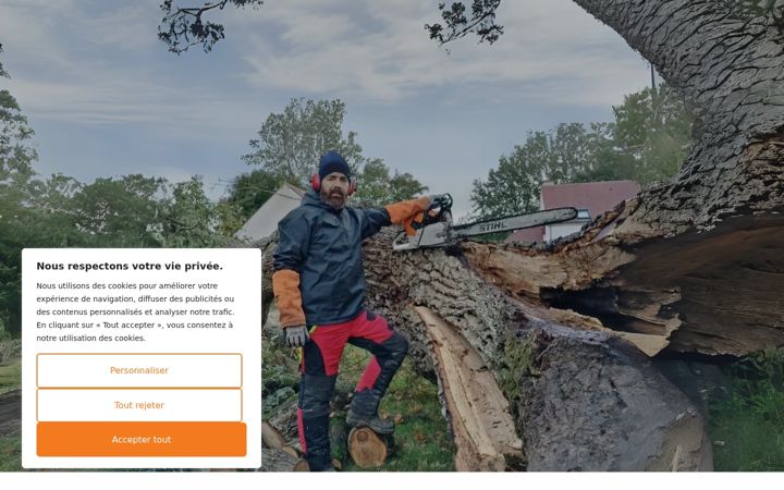 Screenshot di elagueur-bauer.fr