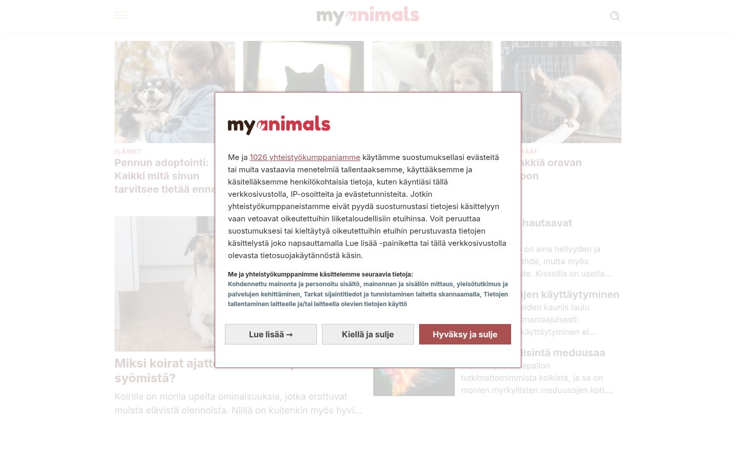 Screenshot of the consent banner shown before any interaction