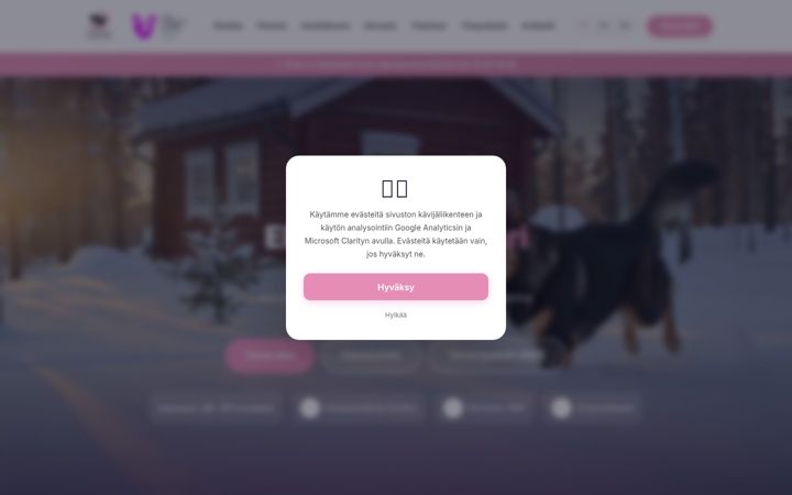Screenshot of elainklinikkasaari.fi