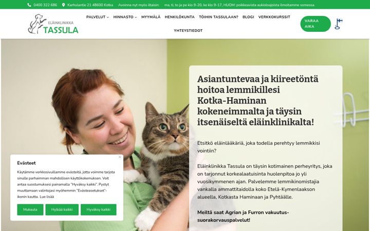 Screenshot of elainklinikkatassula.fi