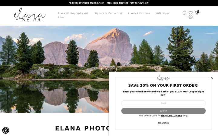 Screenshot of elanafineart.com