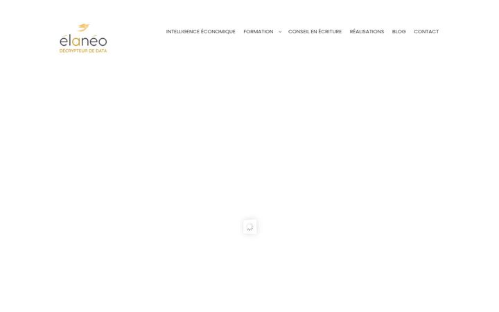 Screenshot di elaneo-conseil.fr