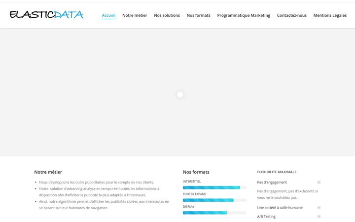 Screenshot di elastic-data.fr