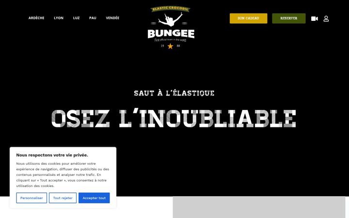 Screenshot of elasticrocodilbungee.net