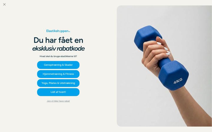 Skärmbild av elastikshoppen.dk