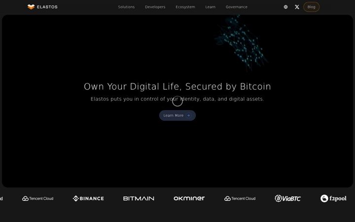 Snímek obrazovky elastos.org