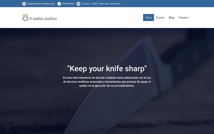 Screenshot of elauditoranalitico.com