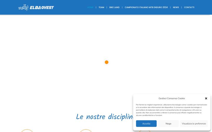 Screenshot of elbaovest.com